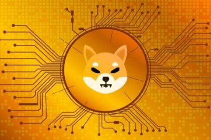 Shiba Inu Coin