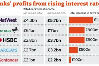 highest interest savings accounts 2025