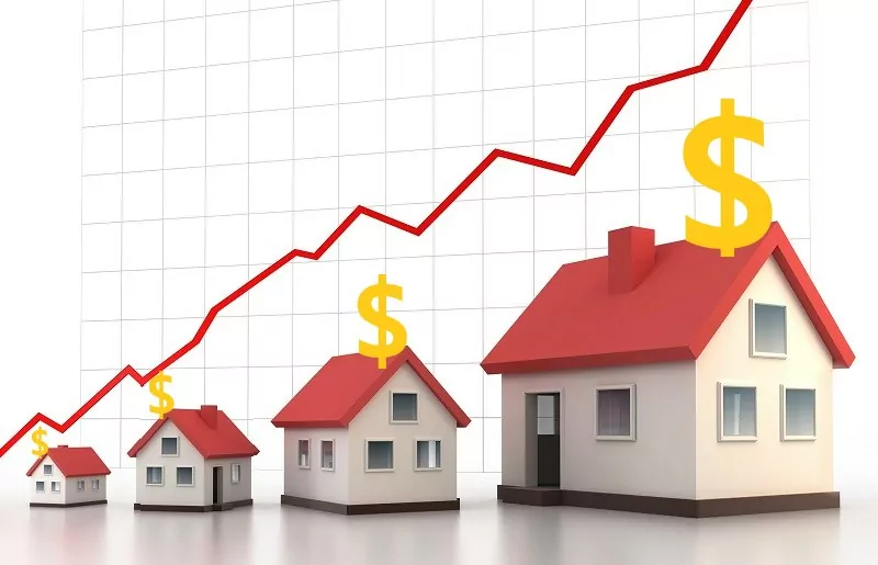 real estate investing