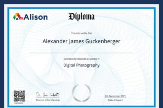 Alison Online Learning Review: Are the Free Diplomas Recognised by Employers in the USA?