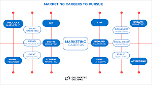 Your Roadmap: How to Integrate CPA Skills into Your Marketing Career