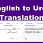 Beyond Google Translate: 5 Pro "Urdu to English Translation Online" Tools for Marketers to Conquer Global Markets